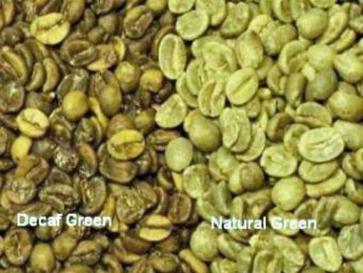 biji kopi tanpa kafein